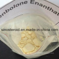 Effective Medical Steroid Powder Trenbolone Enanthate for Burn Fat